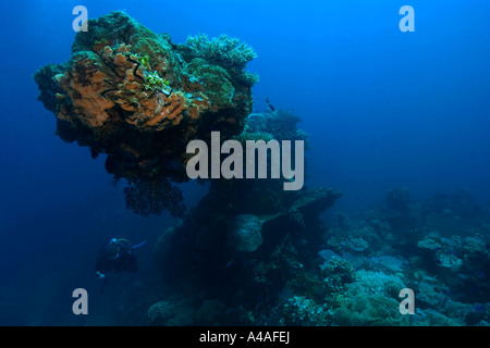 Sub nuota accanto al ponte principale gun Fujikawa Maru naufragio Truk lagoon Chuuk Stati Federati di Micronesia Pacific Foto Stock