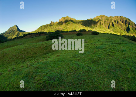 Hawaii, Oahu. Bellissima vista Kualoa Ranch e le montagne Kualoa. Foto Stock