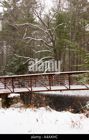 Piedi ponte attraverso il ramo intermedio vicino a Gregg Mill rd in nuova Boston New Hampshire Foto Stock