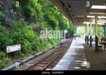 Talyllyn treno con carrozze vittoriano a dolgoch cade station Foto Stock