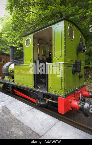 Talyllyn treno a vapore dolgoch a nant gwernol station Foto Stock