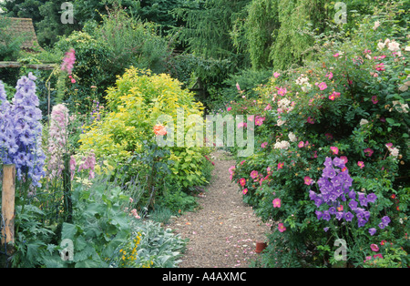 Delphinium e rose in giardino cottage con sentiero di ghiaia Foto Stock