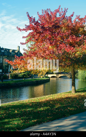 Fiume Windrush in esecuzione attraverso Bourton sull'acqua in Cotswolds Foto Stock