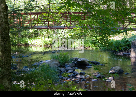 Piedi ponte attraverso il ramo intermedio del Fiume Piscataquog nella nuova Boston New Hampshire Foto Stock