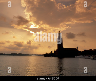 Stadshus (Municipio) visto da di EVERT TAUBES TERRASS, Riddarholmen Stoccolma, Svezia. Foto Stock