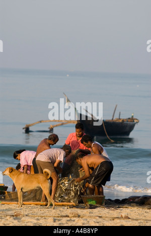 Goa smistamento dei pescatori di sardine e mackeral dalle loro reti in Benaulim Beach Foto Stock