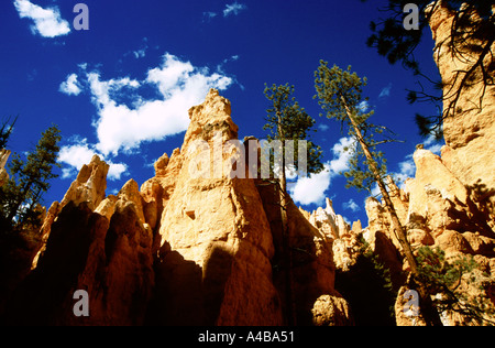 Bryce Canyon National Park nello Utah Stati Uniti d'America Foto Stock