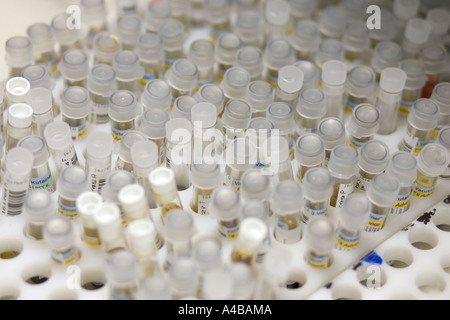 Automated Test del sangue di apparecchiature a St Marys Hospital di Londra Foto Stock