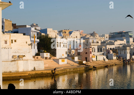 Immagine di stock di balneazione ghats presso il hindu città santa di Pushkar Rajasthan in India Foto Stock