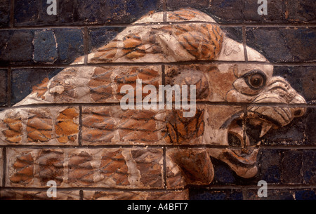 Dettaglio di mattoni smaltati testa leone sul fregio di processione street in Babilonia (604-562 a.C.), Museo dell'Antico Oriente, Istanbul Foto Stock