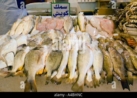 Il pesce per la vendita in Kuwait il mercato coperto del pesce Foto Stock
