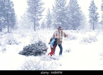 30,651.14100 padre e figlio la raccolta di un albero di Natale nel bel mezzo di una tempesta di neve nevicata, come un manto di neve copre il terreno e alberi Foto Stock