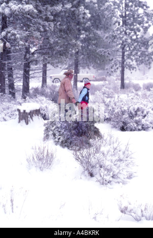 30,651.26100 padre e figlio la raccolta di un albero di Natale nel bel mezzo di una tempesta di neve nevicata, come un manto di neve copre il terreno e alberi Foto Stock