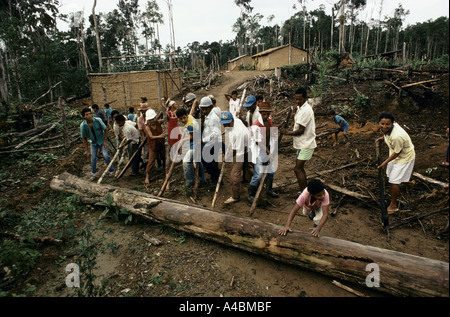 I coloni che occupano la terra in uso Utumuju del tronco di un albero per costruire una barricata, Bahia, Brasile. Foto Stock