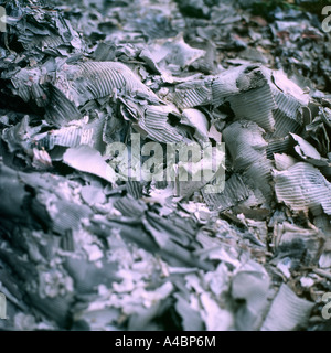 Grigio cenere da bruciare le scatole di cartone fuori in giardino, Wales, Regno Unito Foto Stock