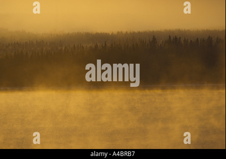 Svezia : inverno sole illumina la mattina presto la nebbia quando il sole sorge sopra il lato della contea di Ostersund Foto Stock