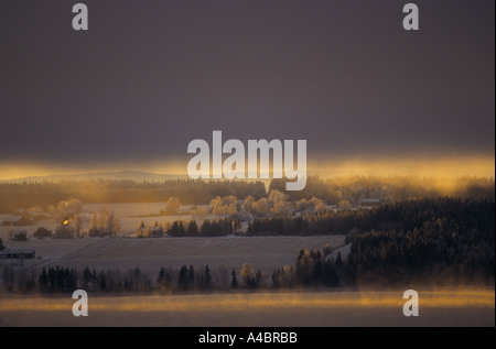 Svezia : un inverno di sole sorge su early morning mist sorge oltre il lato della contea di Ostersund Foto Stock