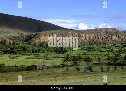 San Ignacio, Perù. Sperone roccioso più fertili campi su terrazzamenti agricoli nel nord del Perù. Foto Stock