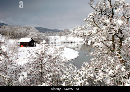 Fiume Spey al Boat of Garten XPL 4659-438 Foto Stock