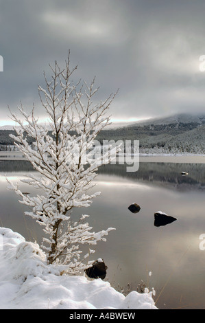 Loch Morlich in inverno Glen More, Aviemore, Strathspey. La Scozia. XPL 4662-438 Foto Stock