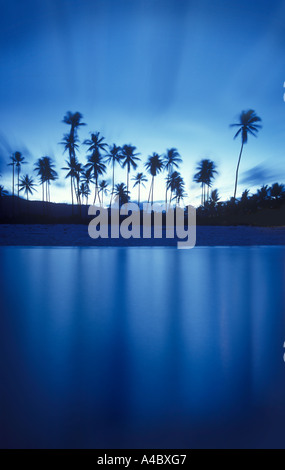 Silhouette di palme e di riflessioni ancora in acqua della laguna, Koh Samui Thailandia Foto Stock