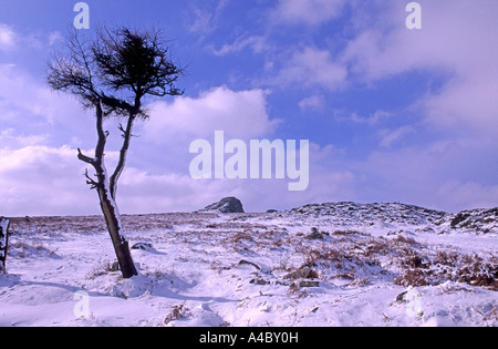 La distesa di Dartmoor in inverno. XPL 4703-441 Foto Stock