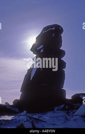 Bowerman del naso del Parco Nazionale di Dartmoor in inverno. XPL 4707-441 Foto Stock