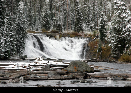 Inverno spolvero sul fiume di Lewis scende, il parco nazionale di Yellowstone, wyoming Foto Stock