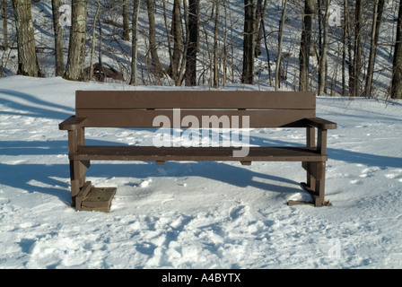 Montare Tom membro Prenotazione in Holyoke, Massachusetts USA Metacomet Monadnock M M Trail Foto Stock