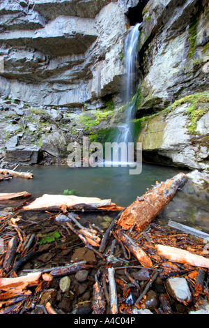 Bridal cade il Wyoming creek vicino a cooke city, montana Foto Stock