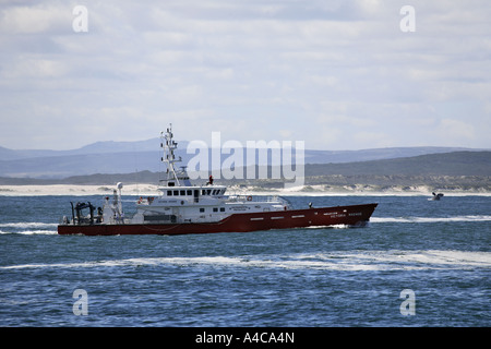 La tutela ambientale in barca e violare la balena in background in Sud Africa Foto Stock