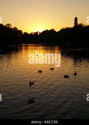 Highfields University Park, NOTTINGHAMSHIRE REGNO UNITO Foto Stock