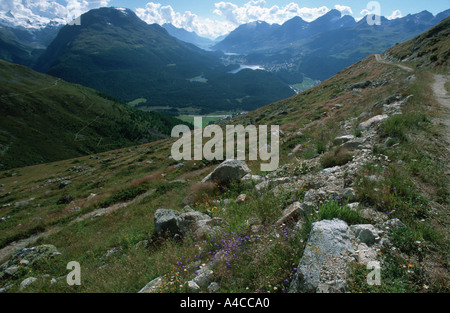 Valley View dalla parte superiore del Muottas Muragl, San Moritz Oberengadin in Svizzera Foto Stock