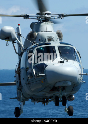 Un French Naval panther elicottero passando sopra il mare. Foto Stock