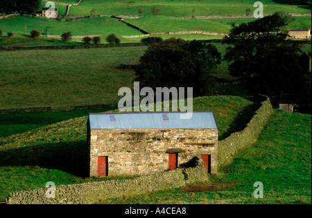 Granai in Wensleydale North Yorkshire, Inghilterra Foto Stock