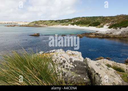 Una vista del gypsy cove vicino a Port Stanley nelle isole Falkland Foto Stock