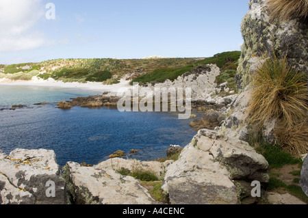 Una vista del gypsy cove vicino a Port Stanley nelle isole Falkland Foto Stock