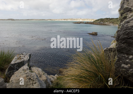 Una vista del gypsy cove vicino a Port Stanley nelle isole Falkland Foto Stock