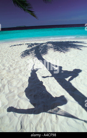 Giovane rilassante in amaca e su Palm tree profilarsi di fronte spiaggia di sabbia bianca Foto Stock