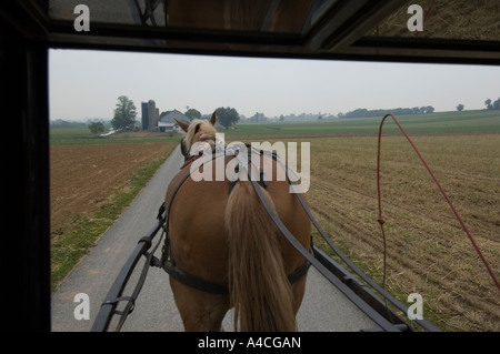 Carro trainato da cavalli, Lancaster County in Pennsylvania. Foto Stock