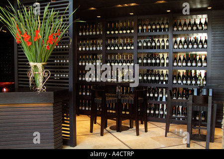 Sala Degustazione vini a Graham Beck Franschhoek Western Cape Sud Africa uno stato dell'arte cantina nel Franschhoek valley Foto Stock