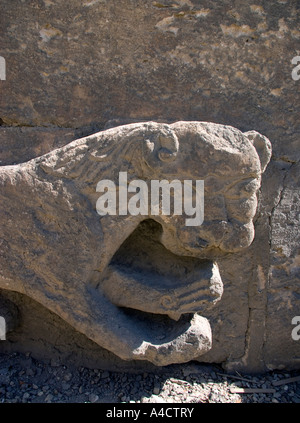 Leoni scolpiti sulla torre dei Leoni, Cittadella, Il Cairo, Egitto Foto Stock