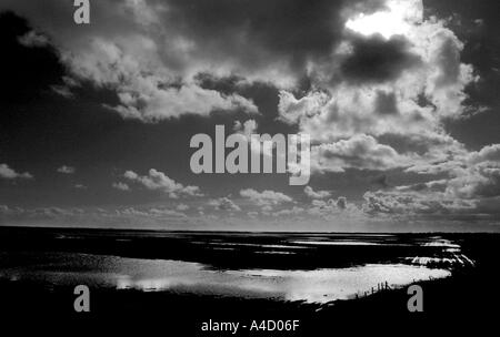 FREISTON SHORE RSPB RISERVA NATURALE LINCS mostra nuova area allagata 2002 Foto Stock