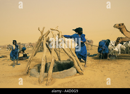 Sale caravan camping attorno a un pozzo di acqua nel grande Sahara Mali. Foto Stock