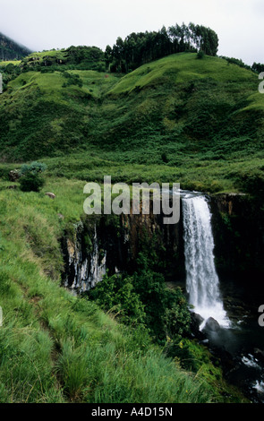 Paesaggio, cascata, KwaZulu-Natal, Sudafrica, Cascate Sterkspruit, Monks Cowl Riserva Naturale, UNESCO, patrimonio mondiale dell'umanità, paesaggi africani, parco Foto Stock