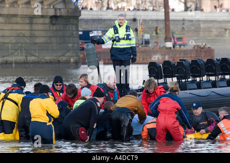 Il Tamigi la balena tentativo di salvataggio - Wandsworth - Londra Foto Stock