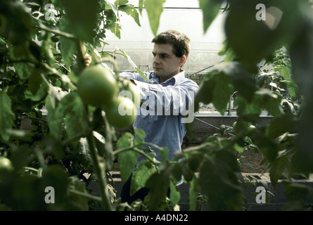 Un uomo che lavora nel giardino di Leyhill aprire il carcere, Regno Unito Foto Stock