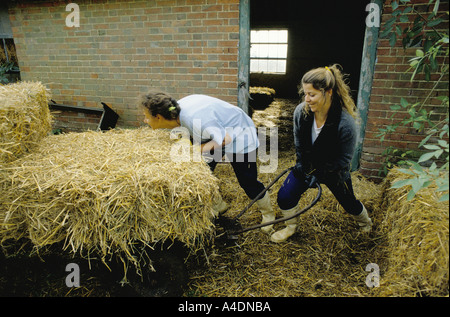 Lavoro di detenuti nei giardini a East Sutton prigione aperta Foto Stock