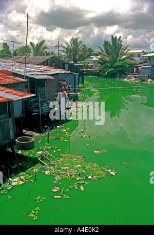 Acqua inquinata a Kao Seng, un villaggio a sud di Songkhla, nel sud della Thailandia. EA7 Foto Stock