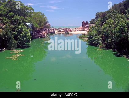 Acqua inquinata a Kao Seng, un villaggio a sud di Songkhla, nel sud della Thailandia. EA8 Foto Stock